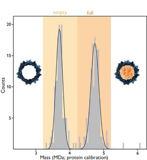 Descrizione immagine